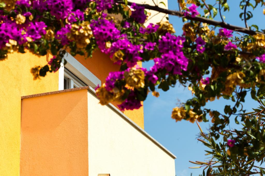 Apartments Villa Orange Zadar Exteriör bild